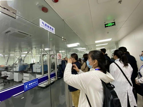 信息技術咨詢服務為落實‘六穩六?！⑷霃妱艅恿?中國-東盟檢驗檢測認證高技術服務集聚區賦能企業騰飛