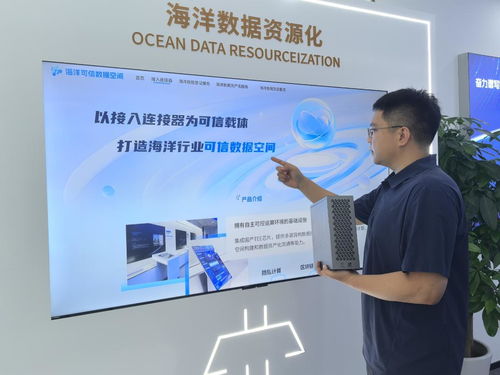 海上新山東 科技興海，信息技術咨詢服務助力蔚藍發展