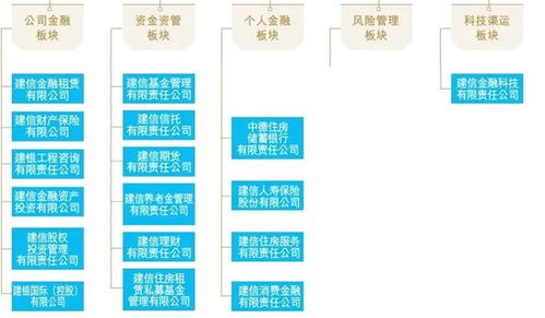 建行中層人事調整深化戰略布局，信息技術咨詢服務成關鍵驅動